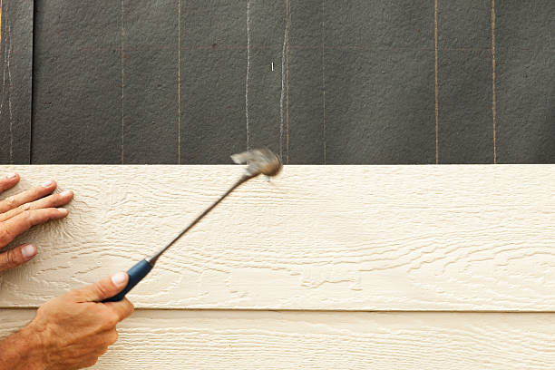 Best Brick Veneer Siding  in Alcoa, TN